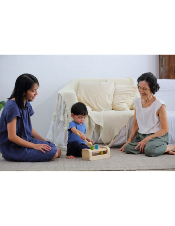 Plantoys Houten Hamerbank (op=op)