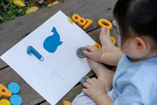 Plantoys Houten Cijfers en Symbolen