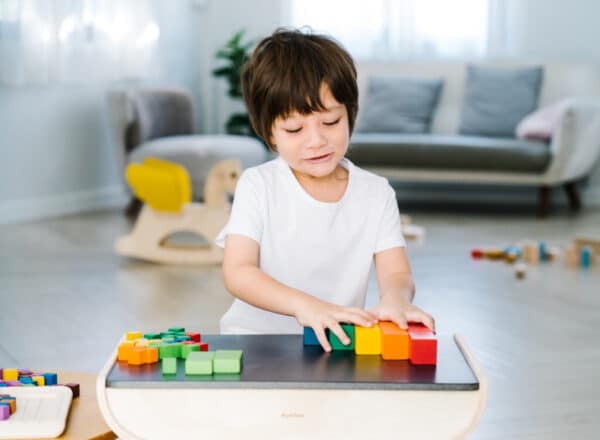 Plantoys Tel Blokken +18m