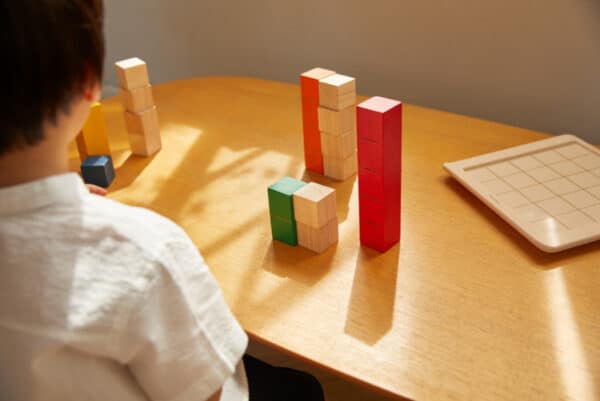 Plantoys Tel Blokken +18m