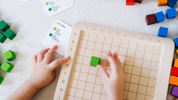 Plantoys Tel Blokjes 100-tal +3j