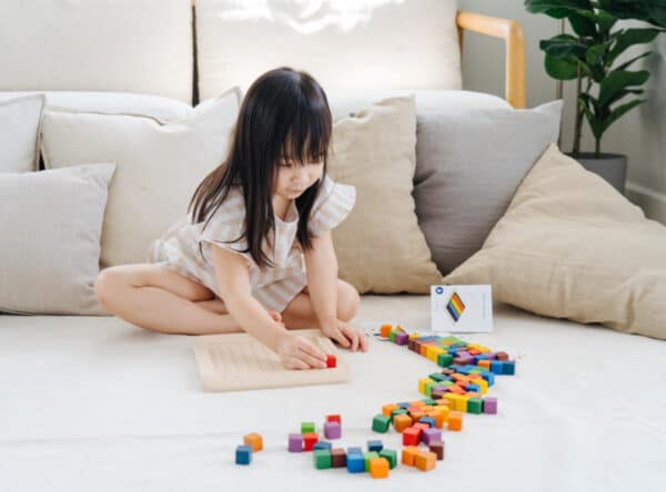 Plantoys Tel Blokjes 100-tal +3j