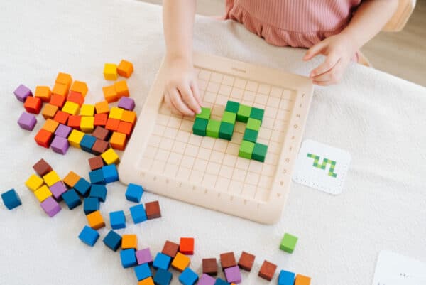 Plantoys Tel Blokjes 100-tal +3j