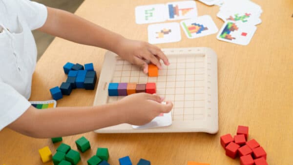 Plantoys Tel Blokjes 100-tal +3j