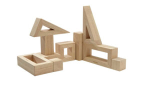 Plantoys Houten Blokken Holle Blokken - Naturel (op=op)