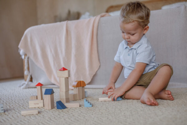 Plantoys Orchard Collectie Houten Creatieve Blokken + 18m