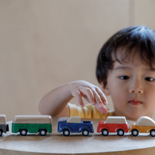Plantoys Road System Houten Auto's (set van 5) + 3jr