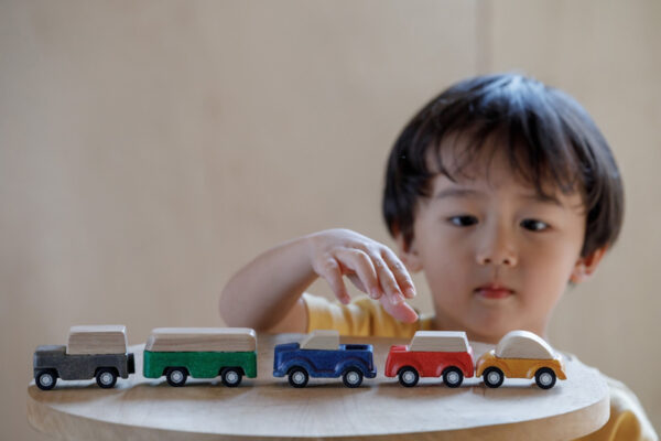 Plantoys Road System Houten Auto's (set van 5) + 3jr