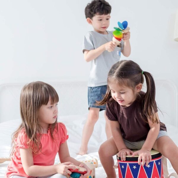 Plantoys Houten Muziekinstrument Melody Xylofoon - Vanaf 3 jaar