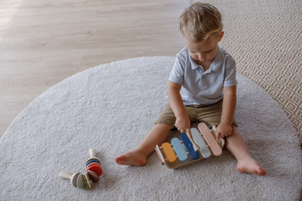 Plantoys Orchard Collectie Houten Ovale Xylofoon + 1jr
