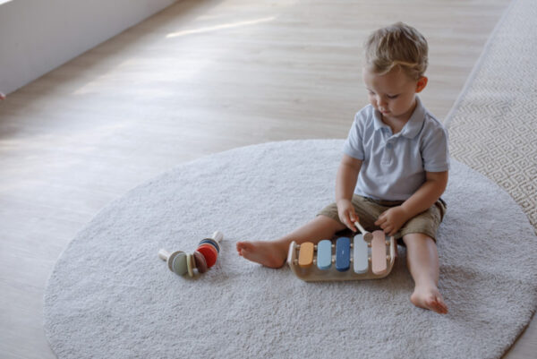 Plantoys Orchard Collectie Houten Ovale Xylofoon + 1jr