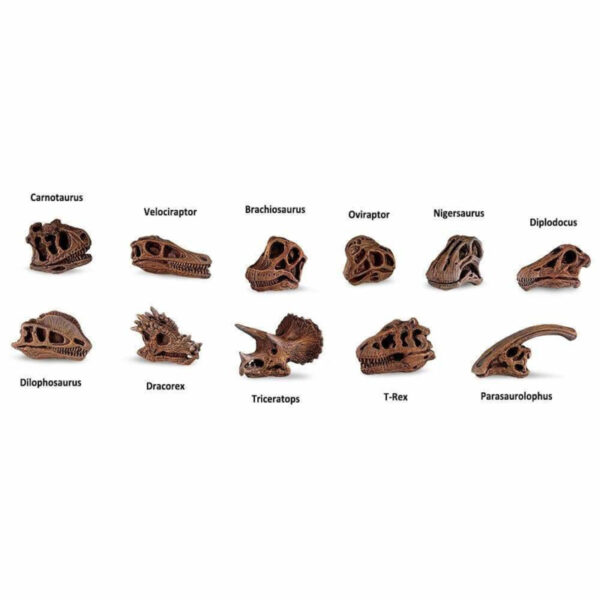 Safari Speelfiguren Toob Set - Dino Schedels