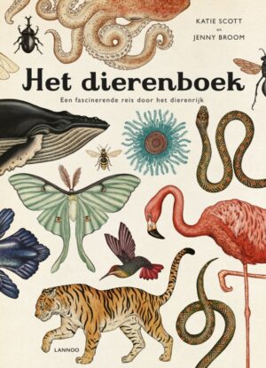 Uitgeverij Lannoo Het Dierenboek - Katie Scott & Jenny Broom