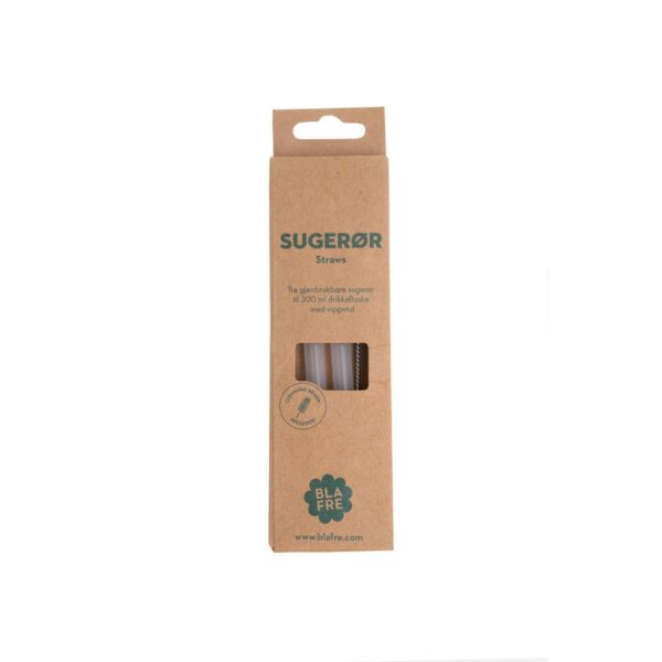 Blafre Rietjes voor Dop met Tuit (set van 3) + reinigingsborstel - 300 ml BL1932 flip flop dop van rvs drinkflessen Blafre (1)