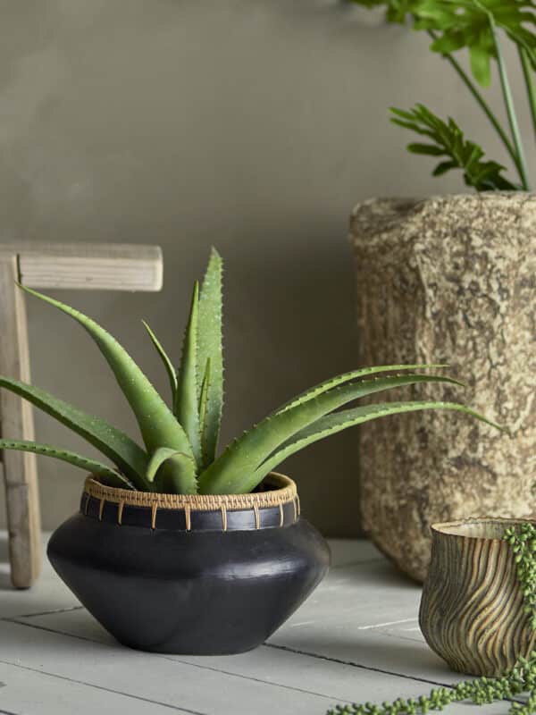 Bloomingville Kunstplant Aloe Vera 5711173332366 - 82061499 (2)