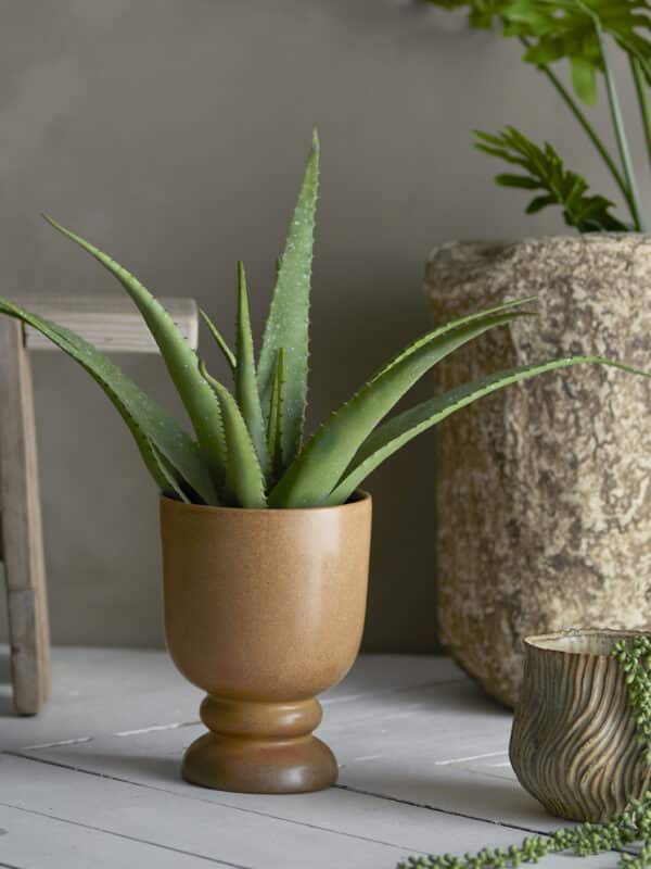 Bloomingville Kunstplant Aloe Vera 5711173332366 - 82061499 (3)