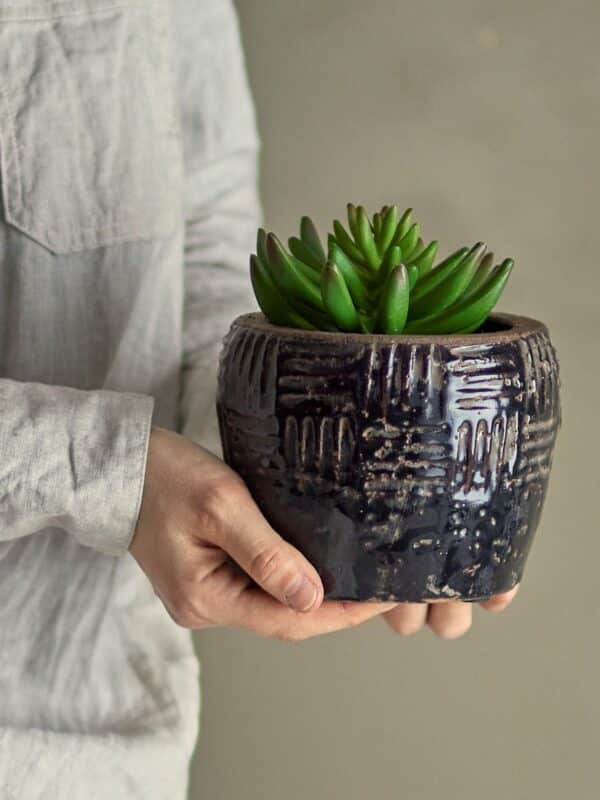Bloomingville Kunstplant Echeveria Plant 5711173332427
