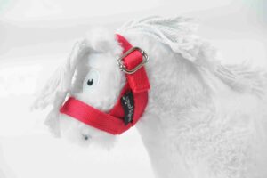 CP350 Crafty Ponies Veulen Halster Rood bij Grasonderjevoeten (1)
