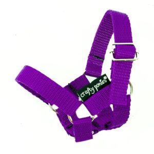 CP352 Crafty Ponies Veulen Halster Paars bij Grasonderjevoeten (1)