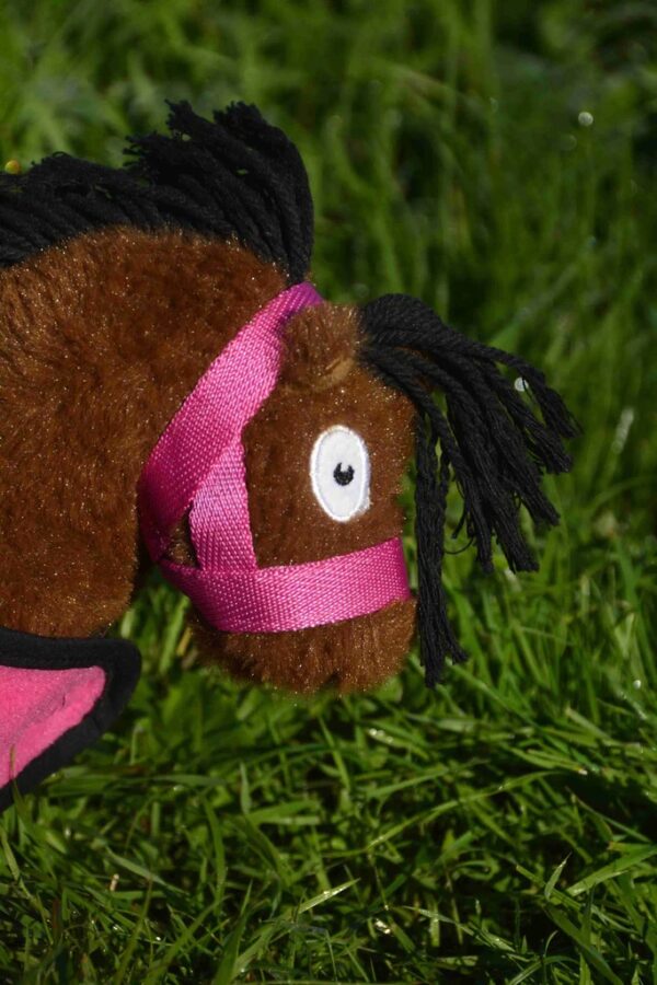 CP353 Crafty Ponies Veulen Halster RozeCrafty Ponies Veulen Halster Roze (2)