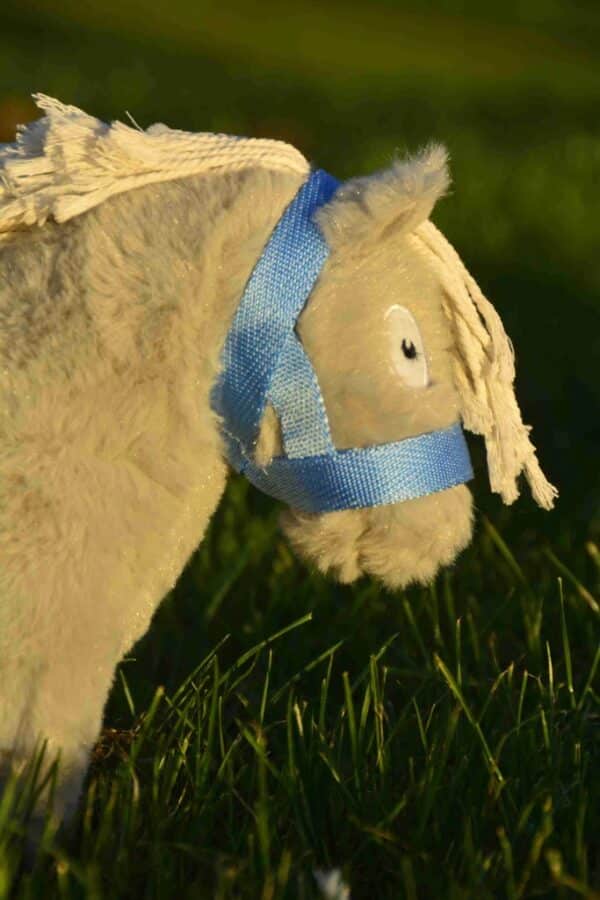 CP354 Crafty Ponies Veulen Halster Baby Blauw bij Grasonderjevoeten (2)