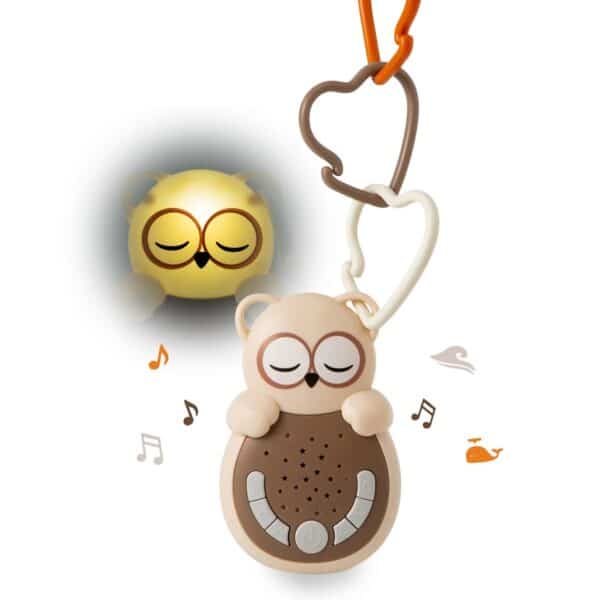 Cloud B Sweet Dreamz On the Go Nachtlamp en Muziekdoosje Uil 3700552320263 (1)