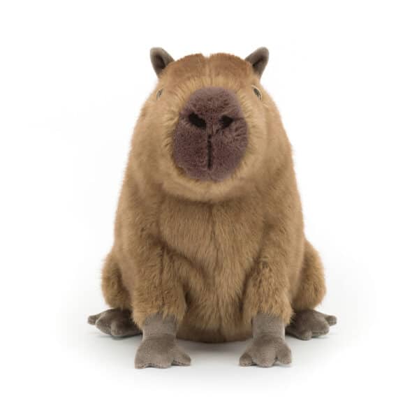 Jellycat Knuffel Capibara Clyde Capybara 670983140811 - CLY6C (2)