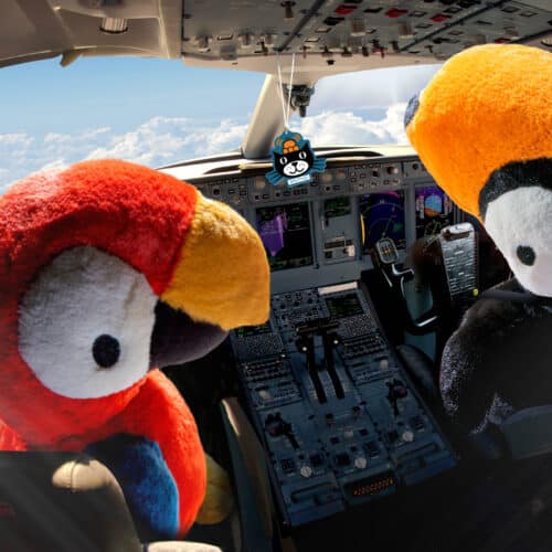 Jellycat knuffels Bodacious Beak Toekan en Papegaai bij Grasonderjevoeten (2)