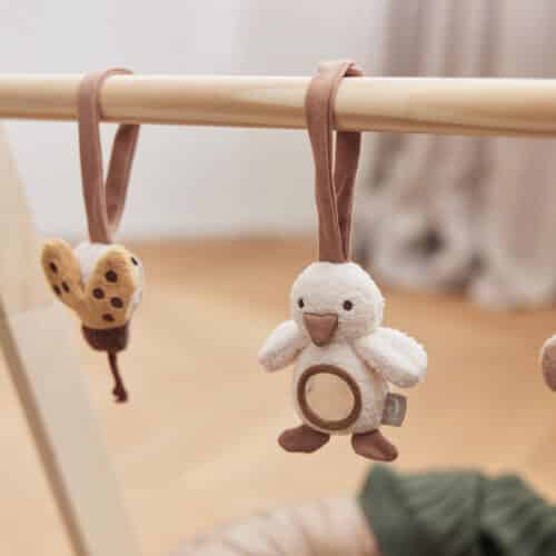 Jollein Babygym Speeltjes Spring Garden (2)