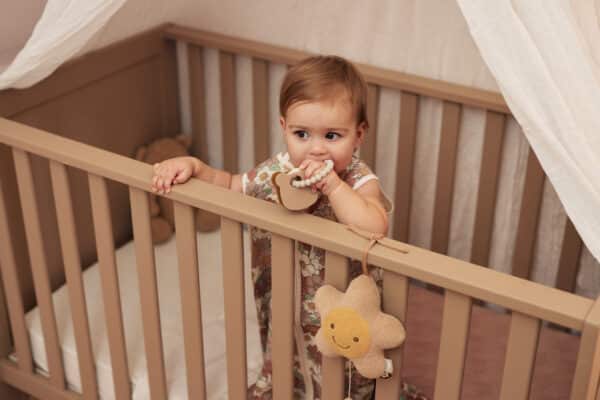 Jollein Bijtring Teddy Bear - Afbeelding 4