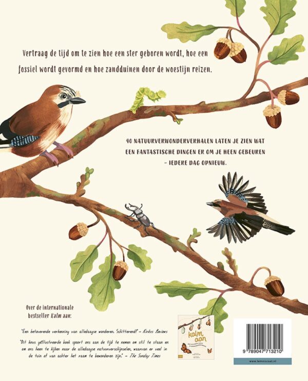Kalm aan...en kijk om je heen 9789047713210
