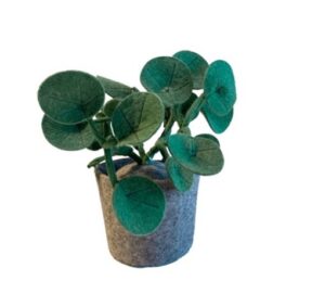 KidsDepot Plant Vilt Pileo Pepero 8718276098172