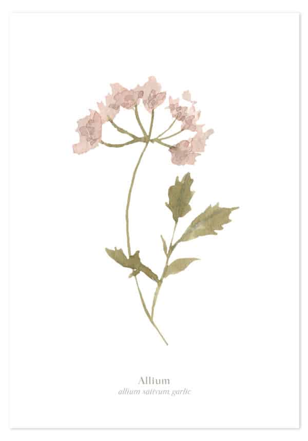 Lilipinso-Mademoiselle-Posters-Garden-Memories-set-van-4-3700412484739-P0337_01-4.jpg