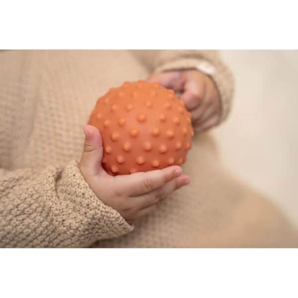 Little Dutch Zintuig Ballen Little Farm 8712051129952 (3)