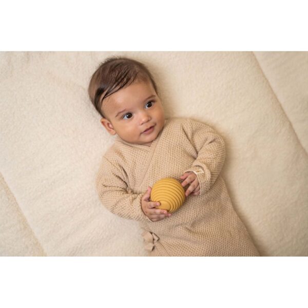Little Dutch Zintuig Ballen Little Farm 8712051129952 (4)