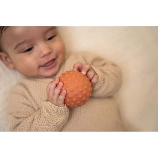 Little Dutch Zintuig Ballen Little Farm 8712051129952 (5)
