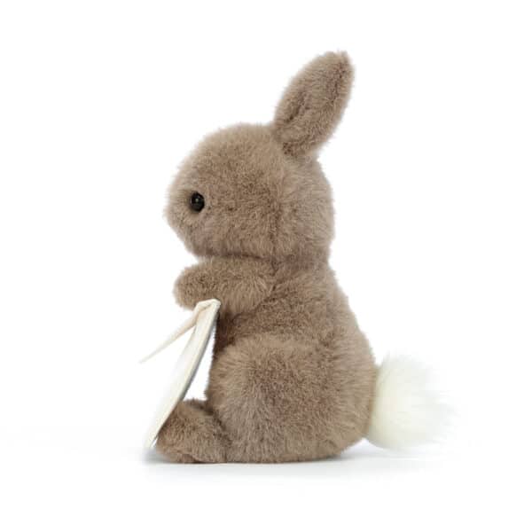 MES6B Jellycat Knuffel Konijn Messenger Bunny 670983151343 (3)