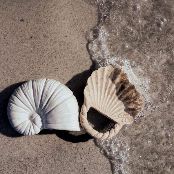 Natruba Badspeeltjes Schelpen Nautilus & Shell 0663899881190 (2)
