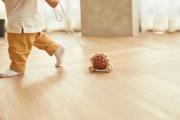 Plantoys Trekspeeltje Egel - Bruin 5274 - Lifestyle - (1)
