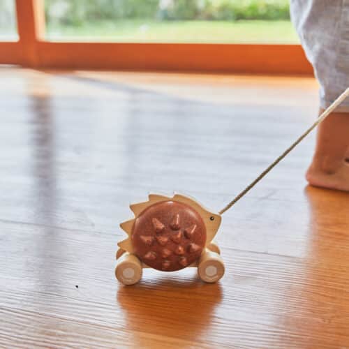 Plantoys Trekspeeltje Egel - Bruin 5274 - Lifestyle - (3)