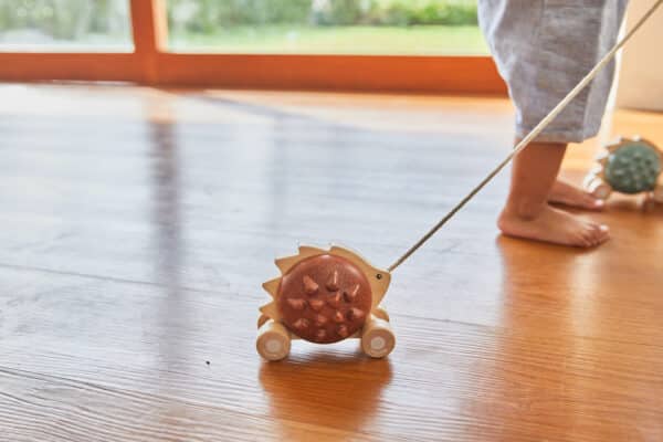 Plantoys Trekspeeltje Egel - Bruin 5274 - Lifestyle - (3)