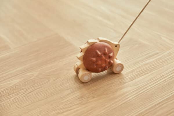 Plantoys Trekspeeltje Egel - Bruin 5274 - Lifestyle - (5)