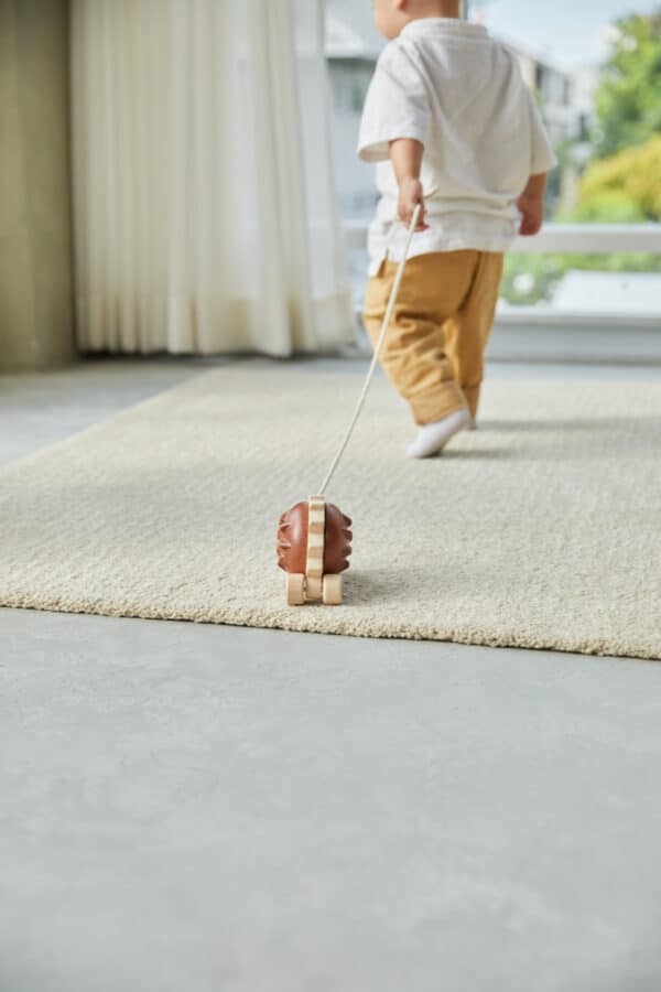 Plantoys Trekspeeltje Egel - Bruin 5274 - Lifestyle - (7)