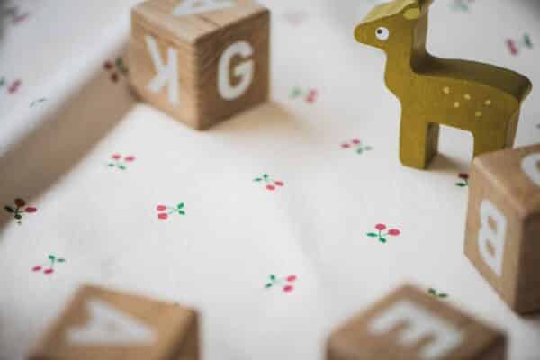 Play and Go Speelkleed en Opbergzak - Cherry Cherry 4895250600904 bij Grasonderjevoeten (4)