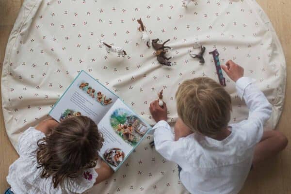 Play and Go Speelkleed en Opbergzak - Cherry Cherry 4895250600904 bij Grasonderjevoeten (6)