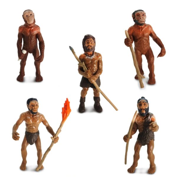 Safari Levenscyclus - Evolutie van de Mens 609366663814 - S663816 - (1)