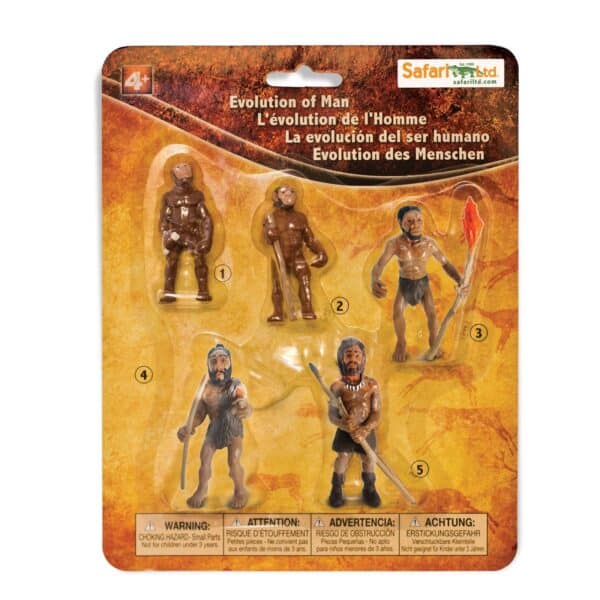Safari Levenscyclus - Evolutie van de Mens 609366663814 - S663816 - (2)