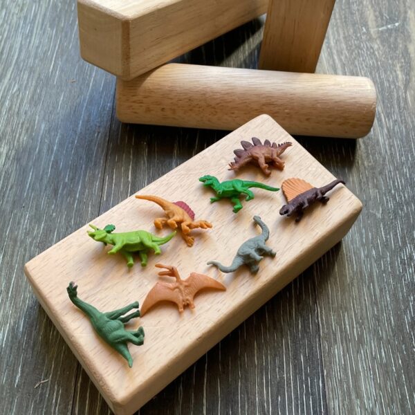 Safari Mini's Good Luck Set - Dino 095866346201 (4)