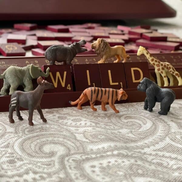 Safari Mini's Good Luck Set - Wild 095866346300 (7)