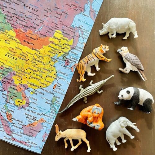 Safari Speelfiguren Toob Set - Dieren Azië 9586600573 - 100685 - 3